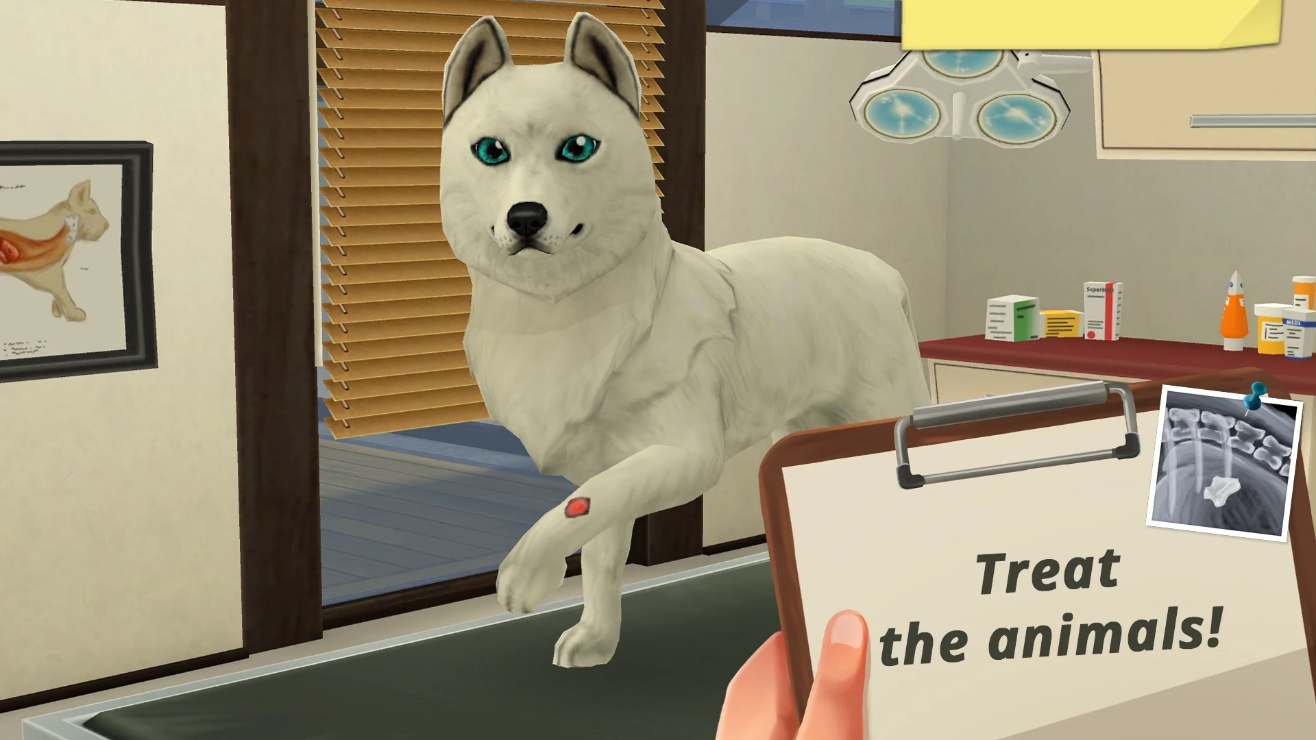 Pet World: My Animal Hospital screenshot